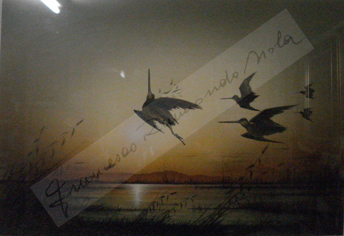 Francesco Raimondo Isola (Passirano, 12/06/1936 - 31-12-2024)