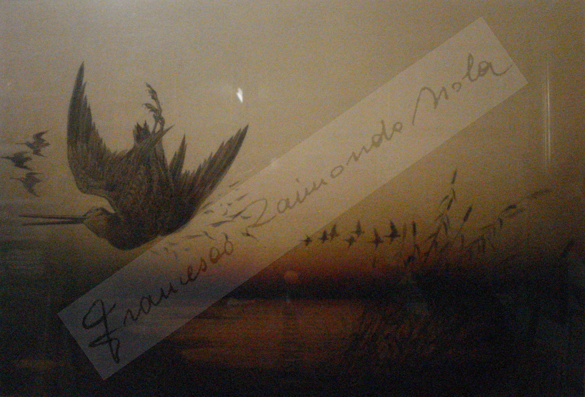 Francesco Raimondo Isola (Passirano, 12/06/1936 - 31-12-2024)