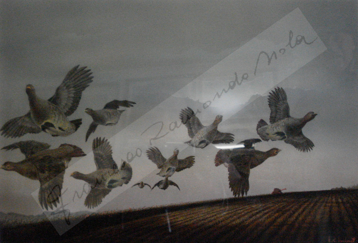 Francesco Raimondo Isola (Passirano, 12/06/1936 - 31-12-2024)