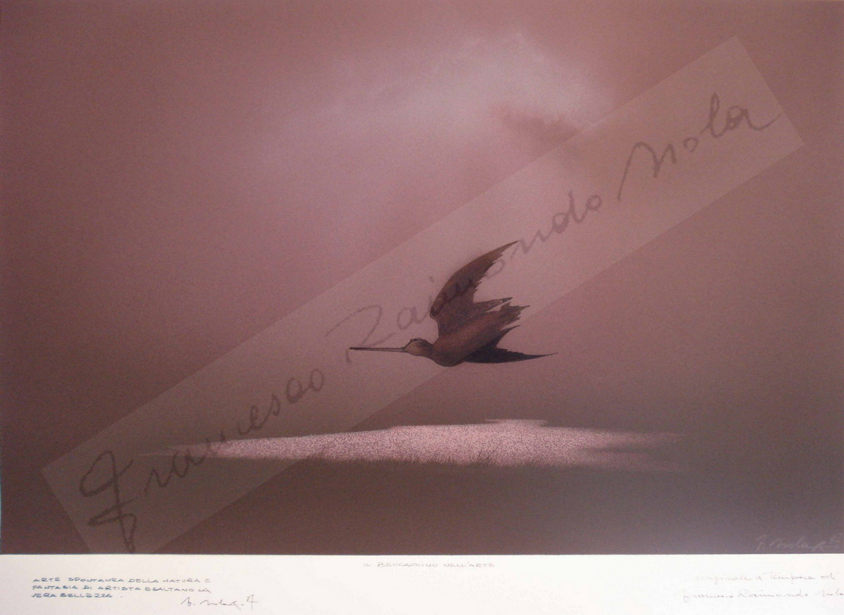 Francesco Raimondo Isola (Passirano, 12/06/1936 - 31-12-2024)