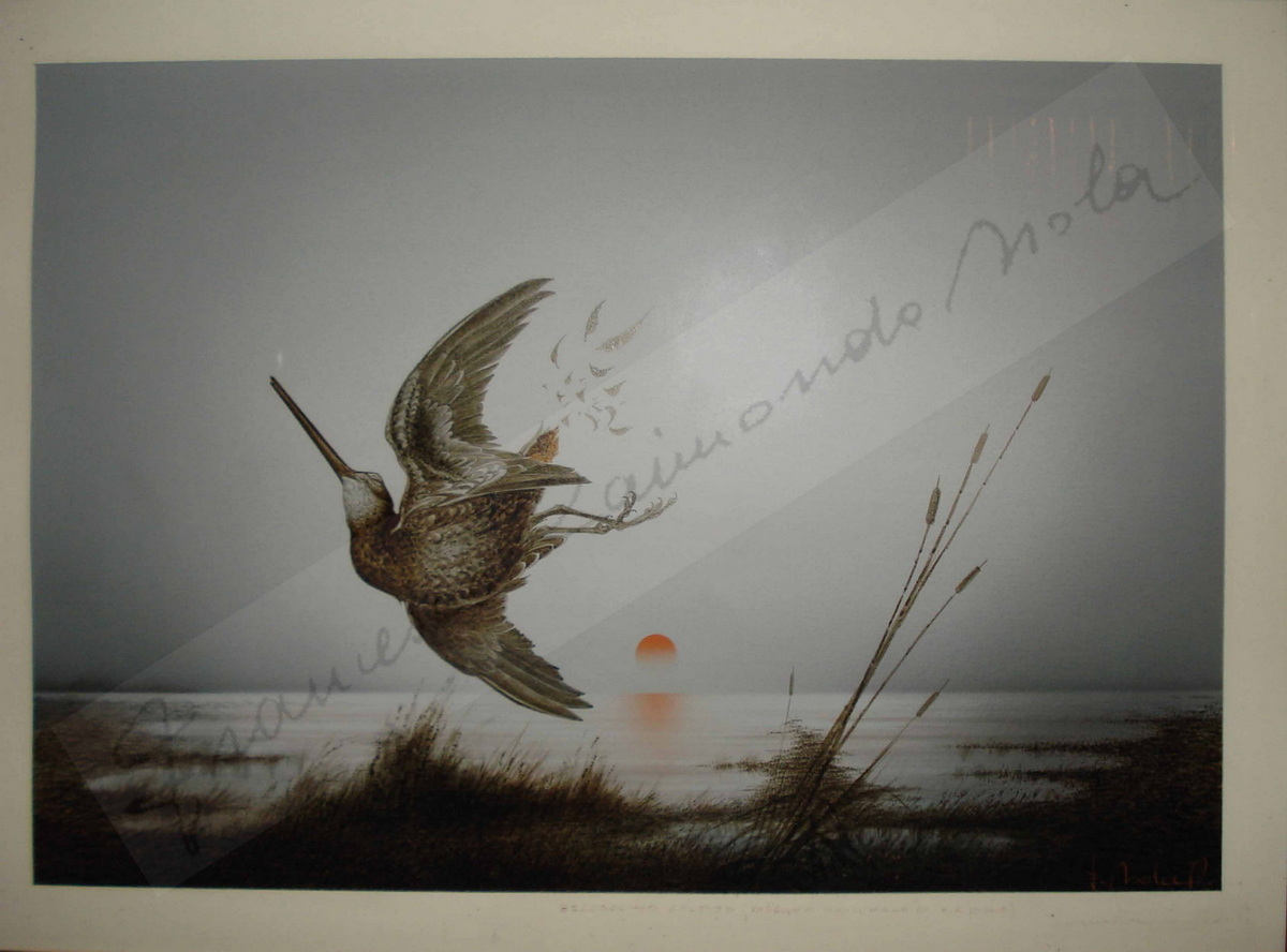 Francesco Raimondo Isola (Passirano, 12/06/1936 - 31-12-2024)