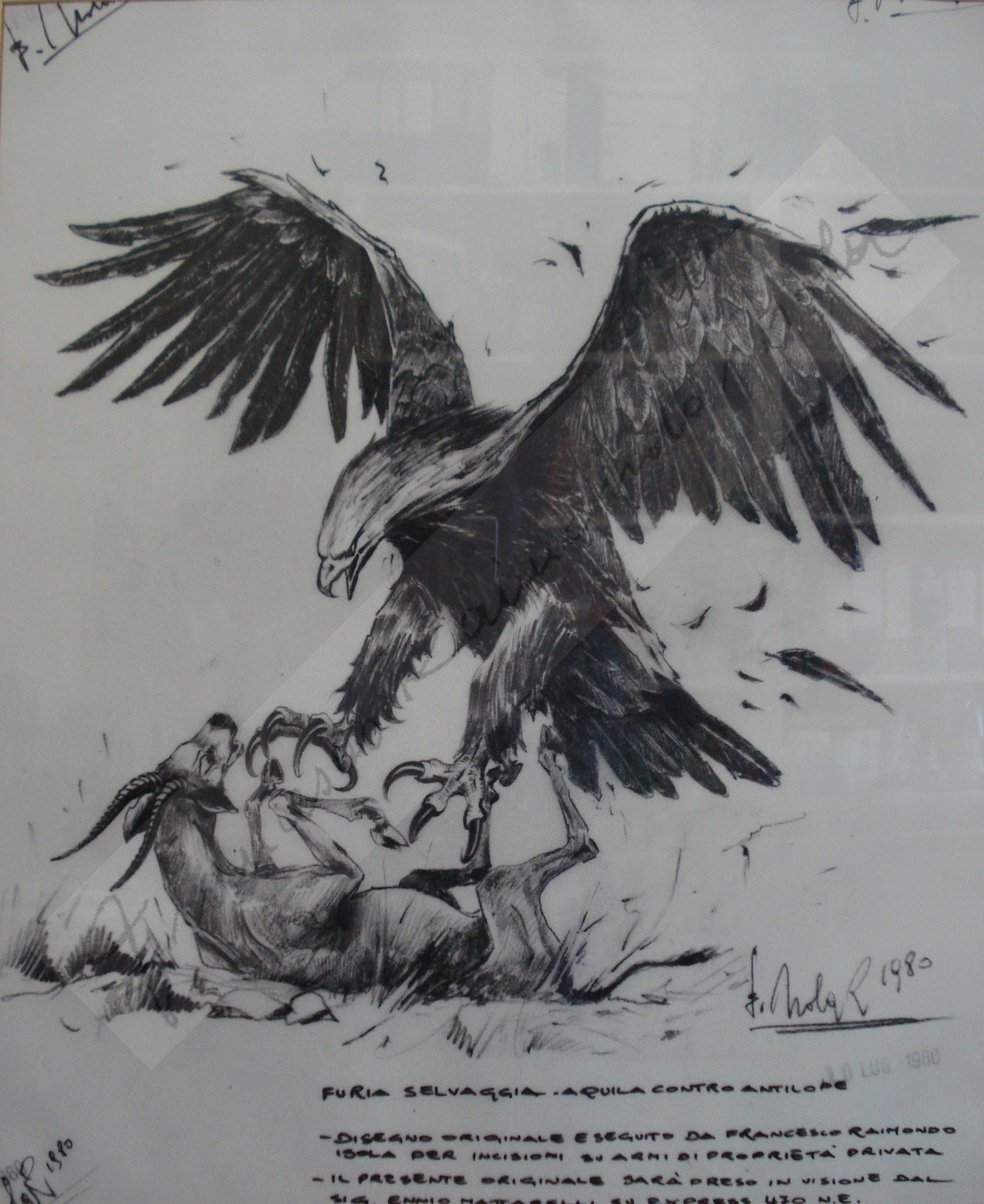 Francesco Raimondo Isola (Passirano, 12/06/1936 - 31-12-2024)